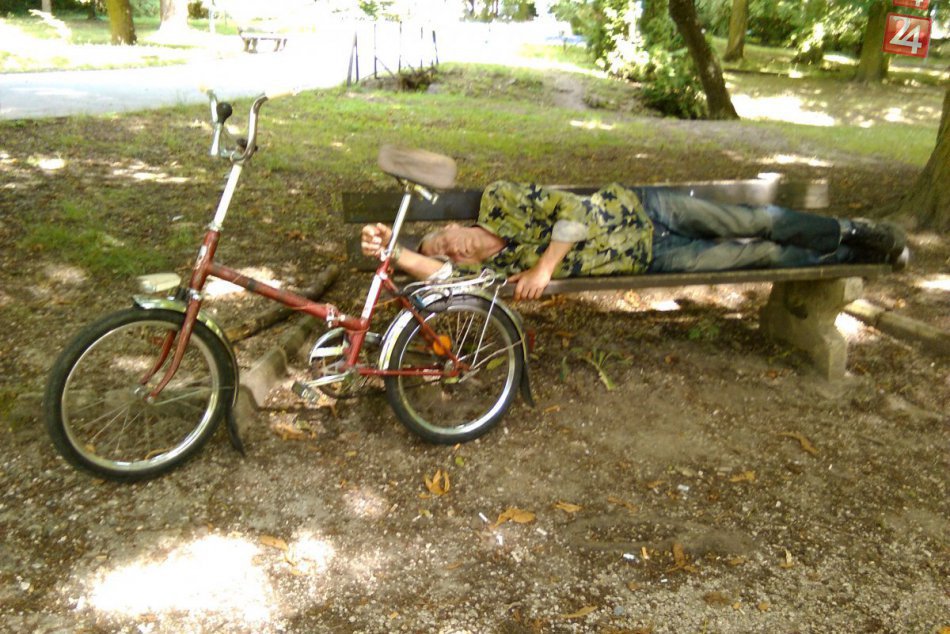 FOTO: Kuriózny záber počas horúčav v lučeneckom parku