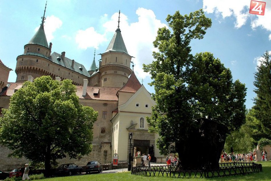 Rozkvitla lipa, slovanský symbol. Využite jej liečivú moc naplno + RECEPT