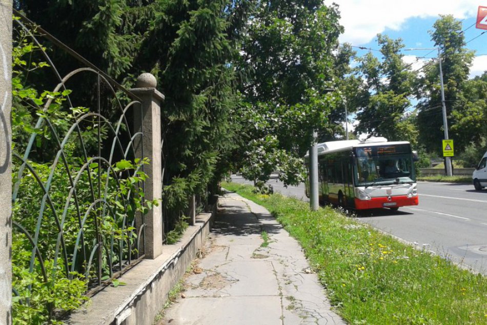 FOTO: Rozkonárené stromy v meste trápia Bystričanov