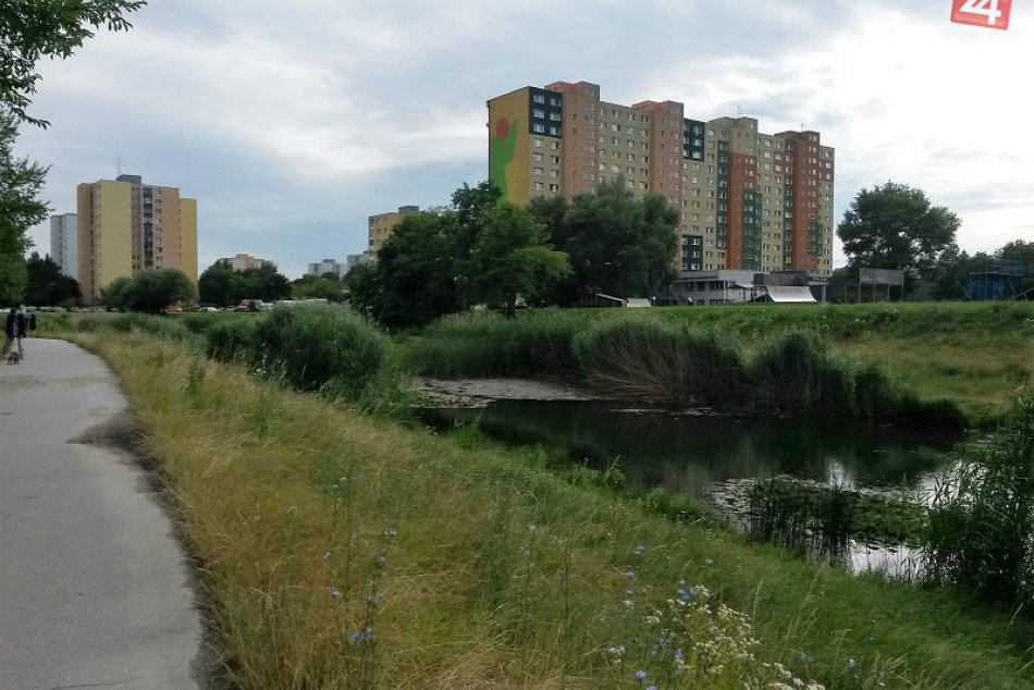 Okolie Chorvátskeho ramena sa mení na džungľu