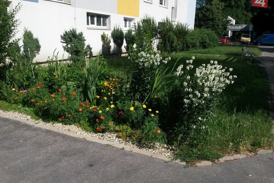 Je vaša predzáhradka ozdobou ulice? Pochváľte sa fotografiou