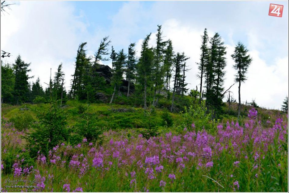 V obrazoch: Leto na Horehroní je naj!