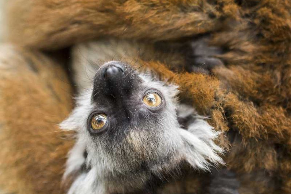 Zaujímavosti neďaleko Košíc sú lákadlom turistov