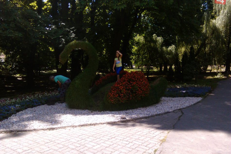 Okolo zelenej labute už nie je plot. Pre niektorých rodičov je to povzbudením na