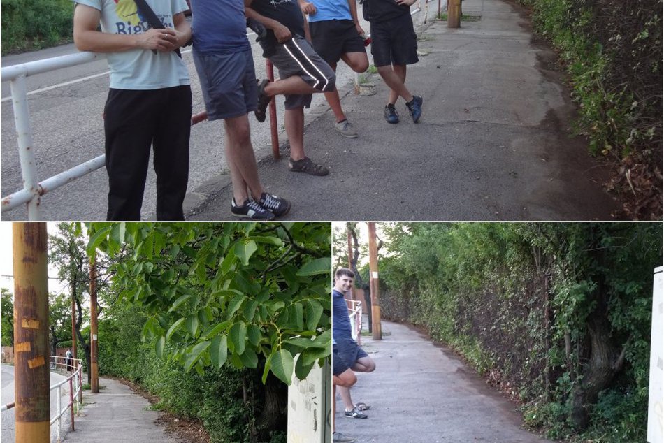 Dobrovoľníci sa starajú o Bratislavu