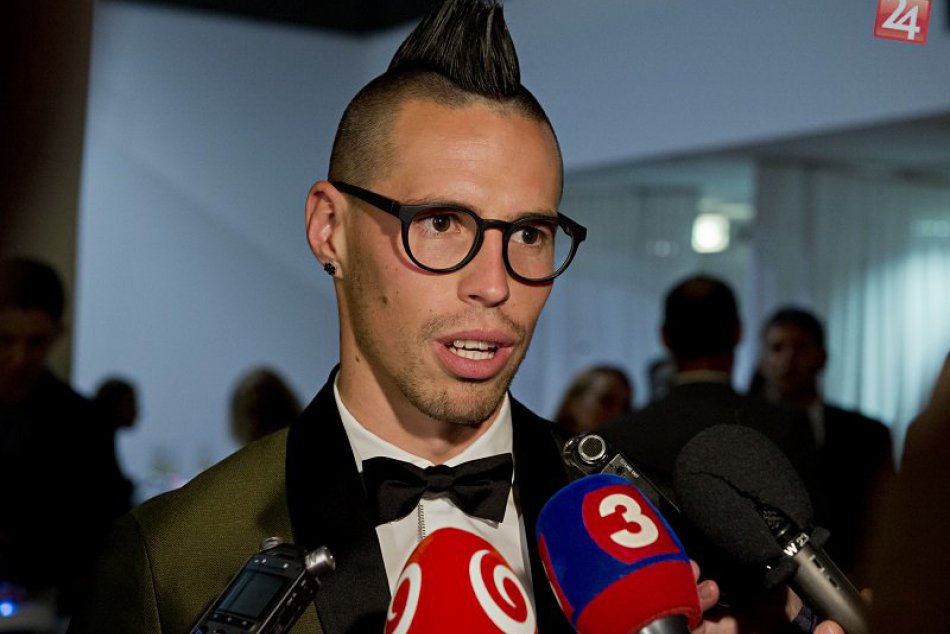 Ako vychovat Hamsika