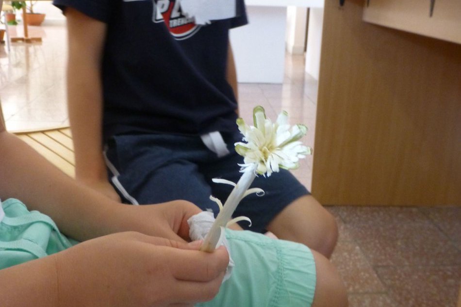 Mladí remeselníci v múzeu: Zábery z podujatia