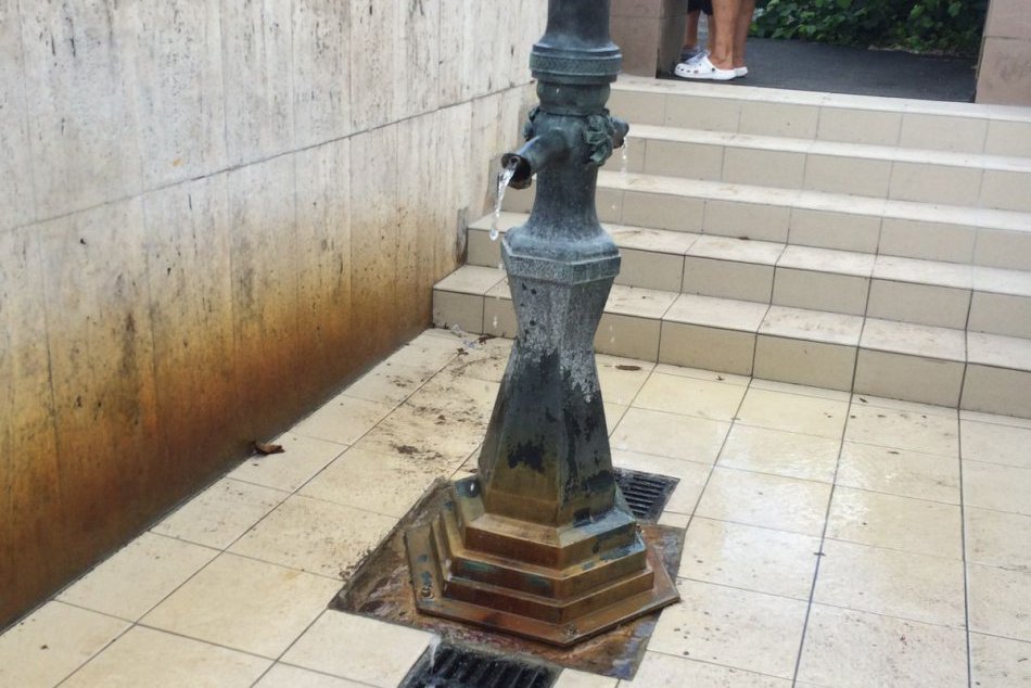 FOTO: Staničný medokýš konečne zrekonštruovaný a vyčistený