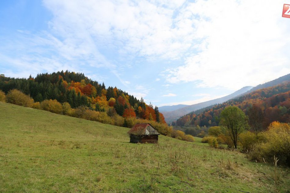 Nádherné územia v okolí Brezna. Unikátne druhy rastlín aj živočíchov