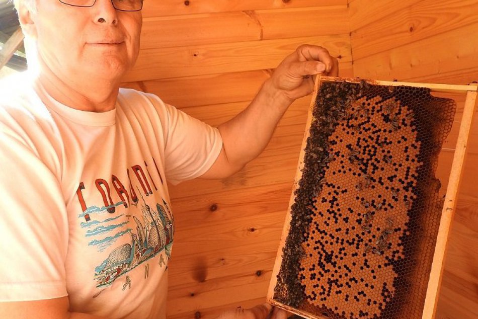 Sedliská: Účinky apidomčeka si ľudia pochvaľujú