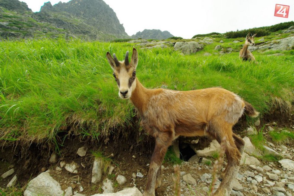 FOTO: Úchvatné zábery hôr mladého Zvolenčana (19)