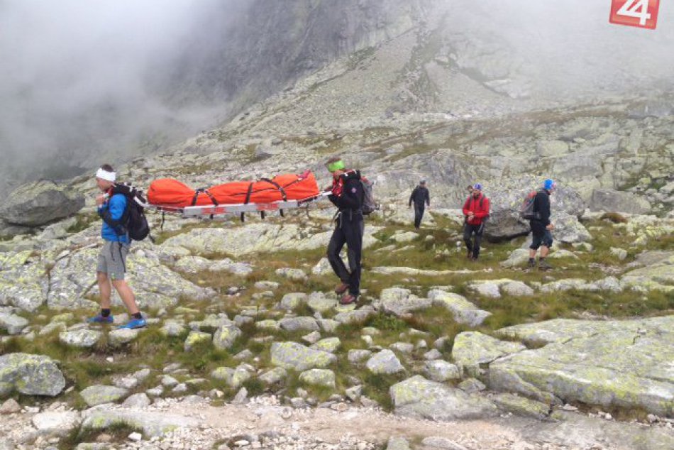 HZS transport Sivé plesá