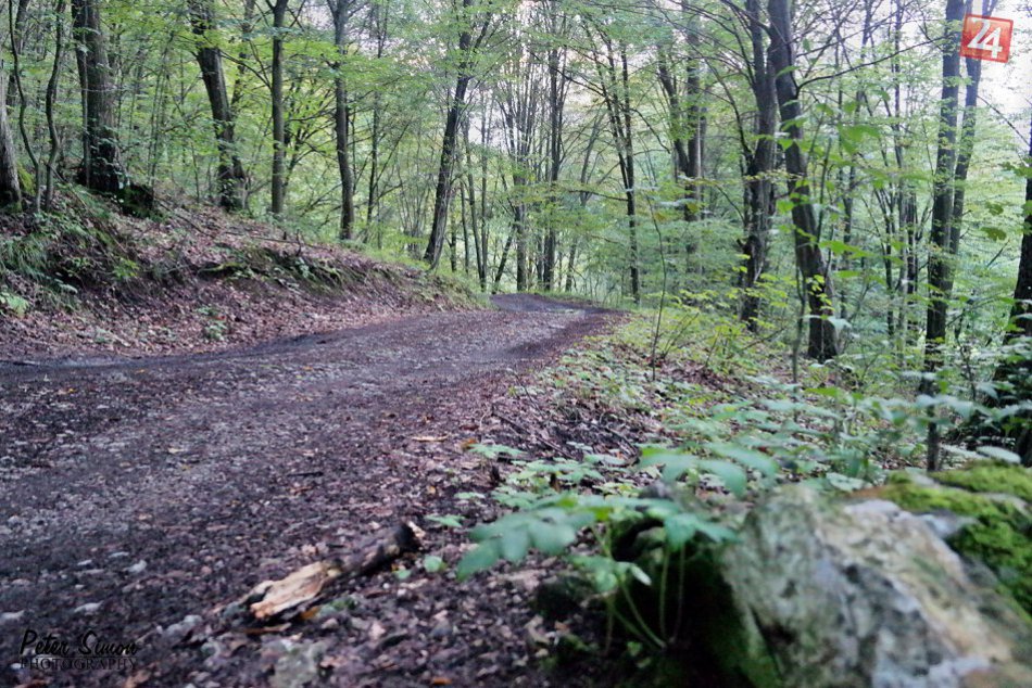 Obrazom: Okolie Krásnohorskej jaskyne