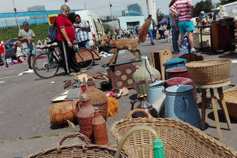 TOP 5 tém týždňa