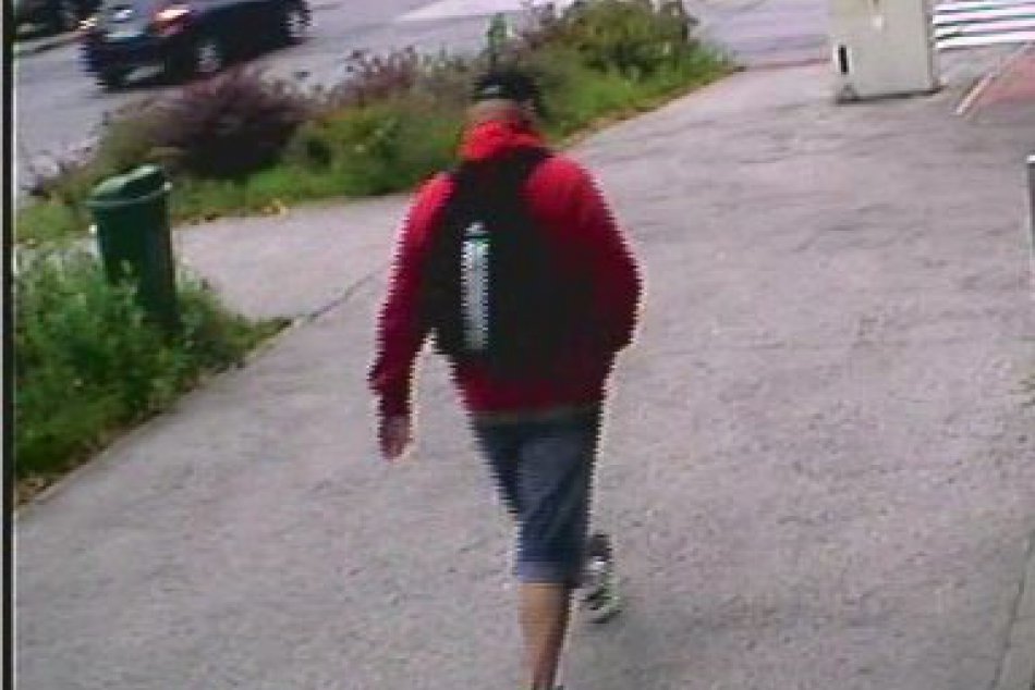 Páchateľ lúpežného prepadnutia