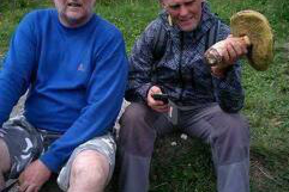 OBRAZOM: Petra zo Spišskej čakal krásny hubársky výjav. Toto je maxidubák! 