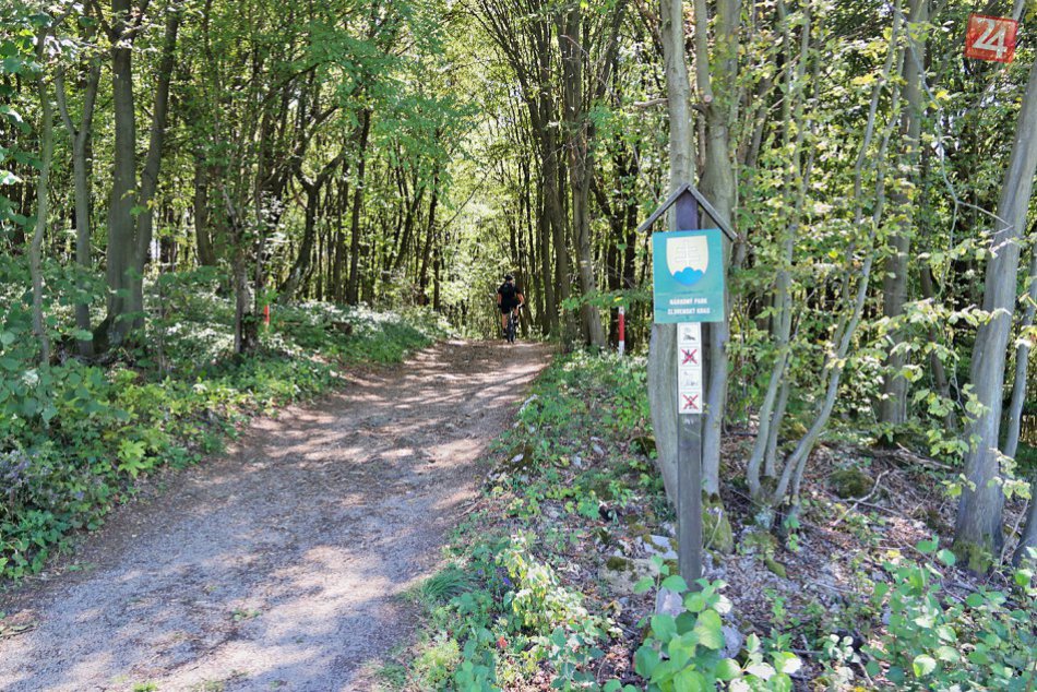 Obrazom: 1. ročník memoriálu Petra Herényiho - Silická ľadnica