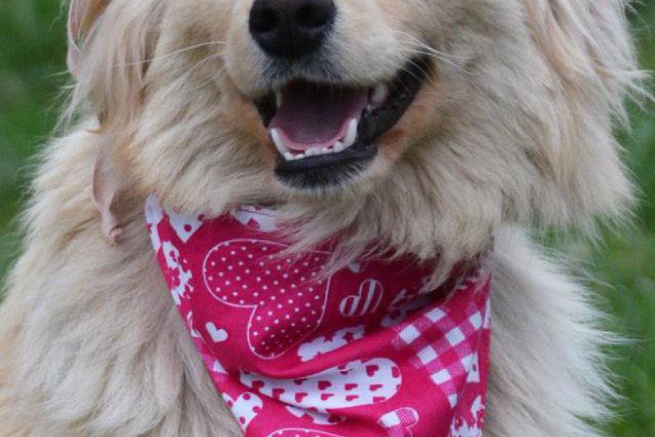 Tri smutné príbehy tuláčikov z Brezna