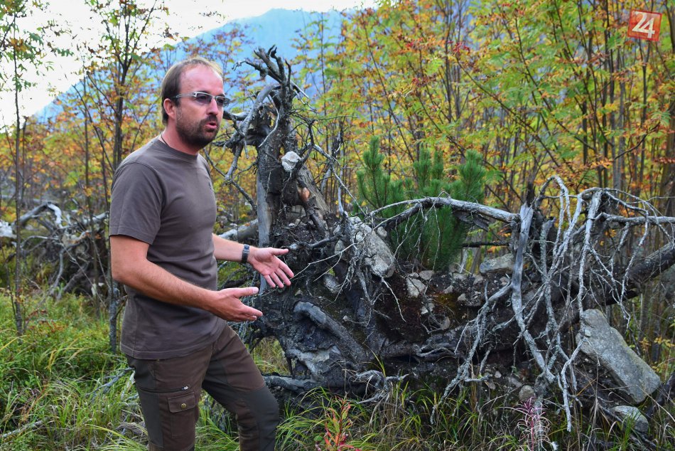Príroda v Tichej doline