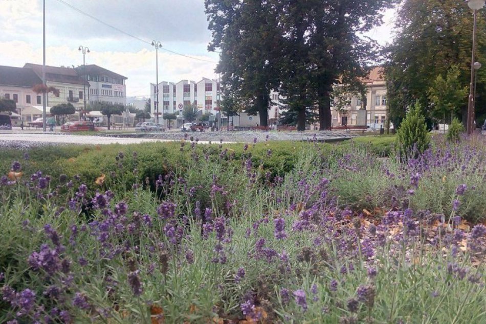 Breznianske parčíky V OBRAZOCH