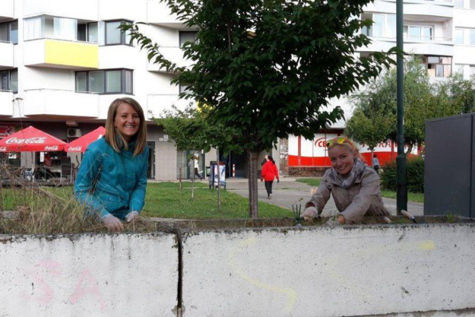 Bratislavský týždeň dobrovoľníctva