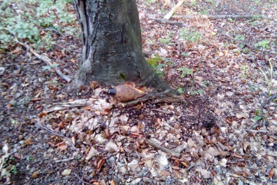 Nález munície pri Žiari: Na miesto hneď mieril pyrotechnik