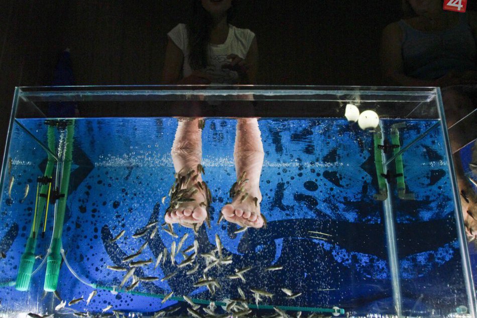 Svetový deň psoriázy