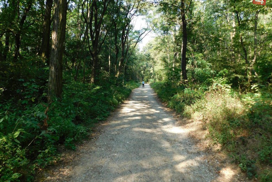 OBRAZOM: Dedinka neďaleko Trnavy? Sledujte, čím sa môže pochváliť! 