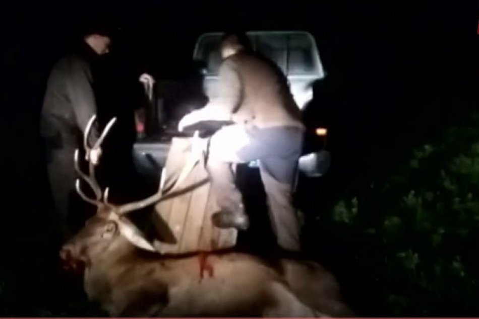 Pytliačil bývalý šéf poisťovne Forai? Každý tvrdí niečo iné