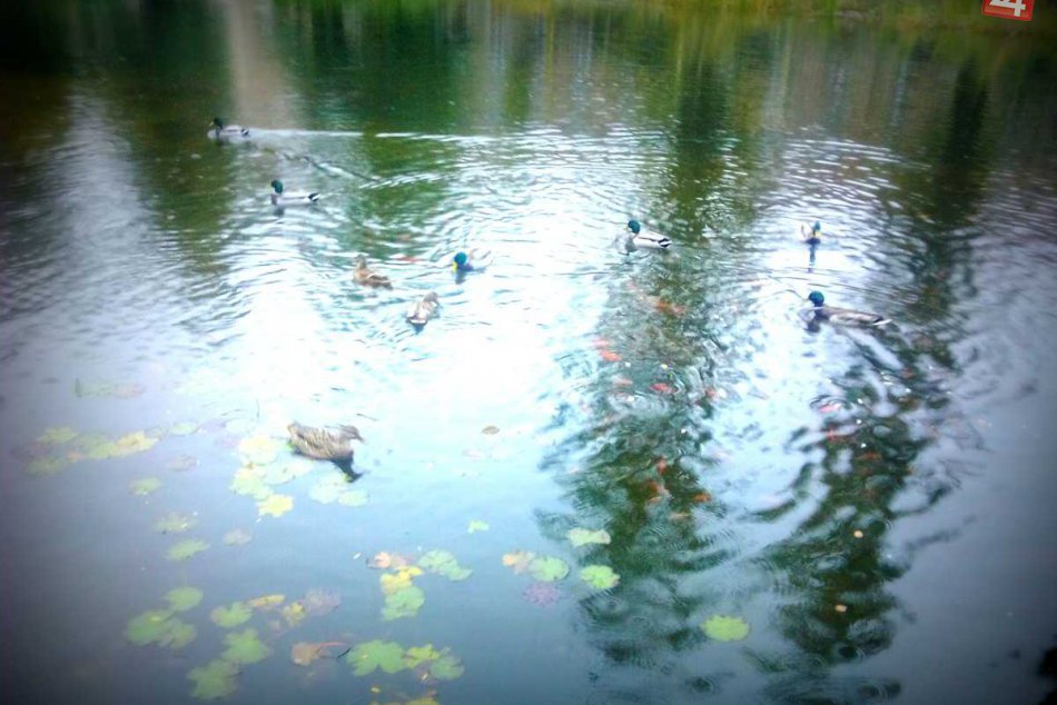 Košický Mestský park žije jeseňou