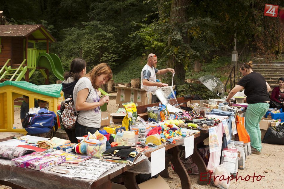 FOTKY z akcie Fraštacký sympaťák: Do Hlohovca si to namierili všakovaké psíky
