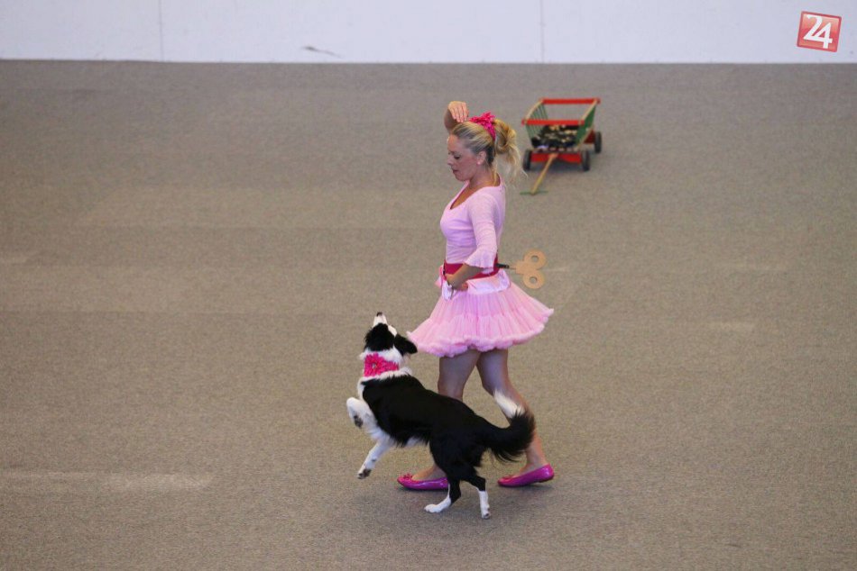 Trnavčanka a jej roztomilé psíky: Takéto kúsky spolu vedia stvárať!