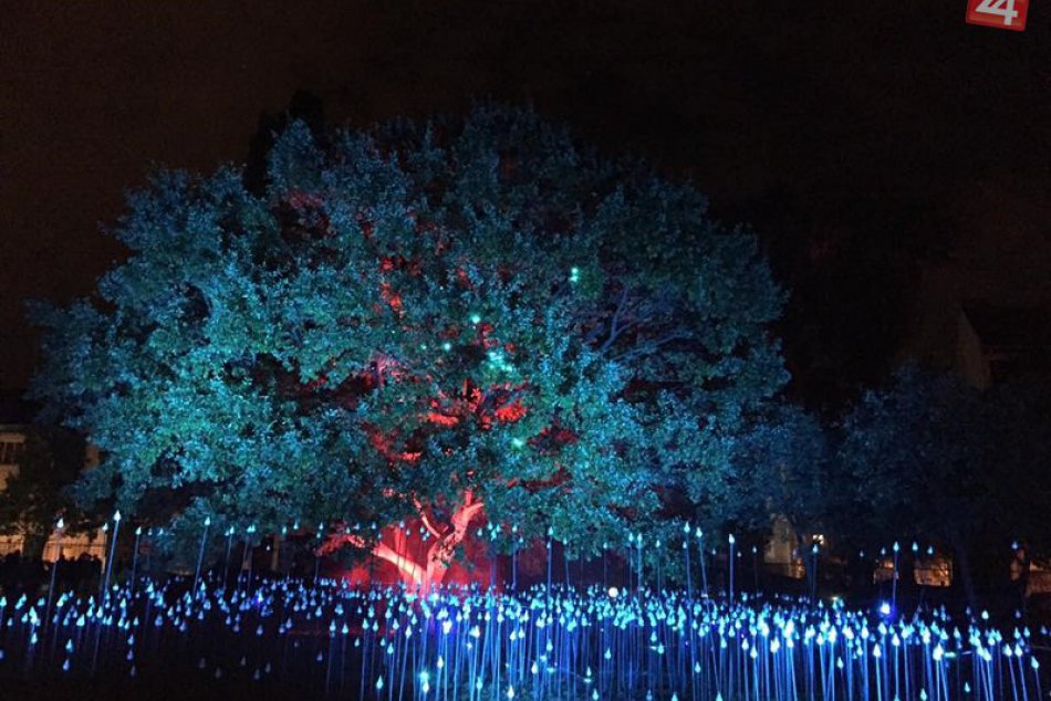 Biela noc Bratislava 2016