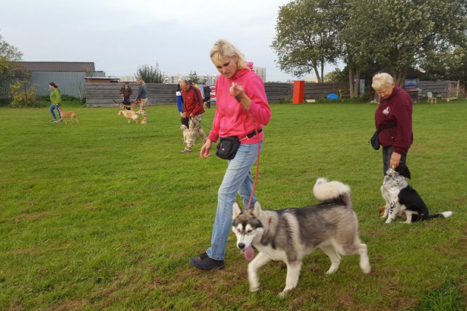 Svetový pohár nemeckých ovčiakov v kynologickom športe Obedience