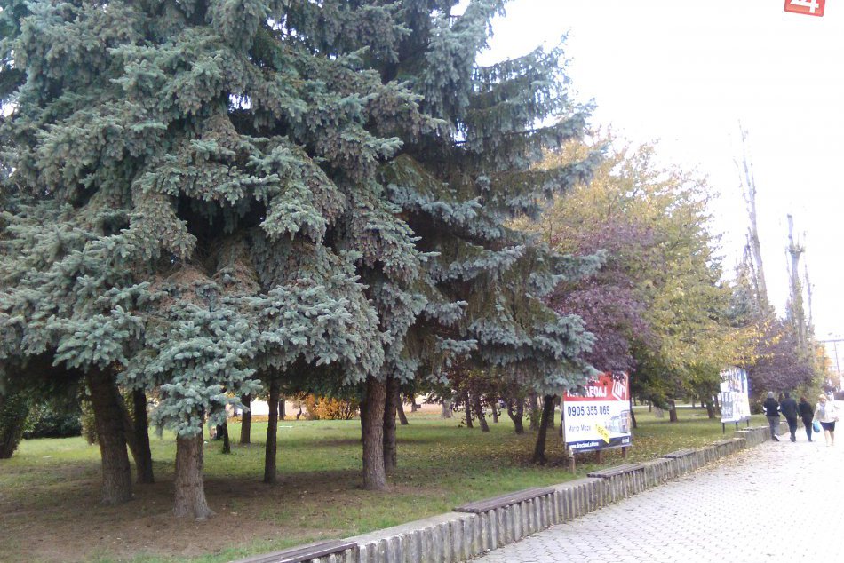 Časť chodníka a pozemok na ulici T. G. Masaryka je v súkromných rukách