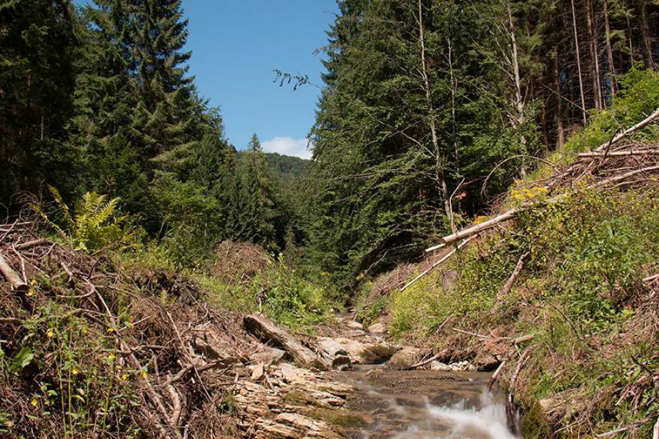 Obrazom: Jesenná príroda v okolí Dobšinej