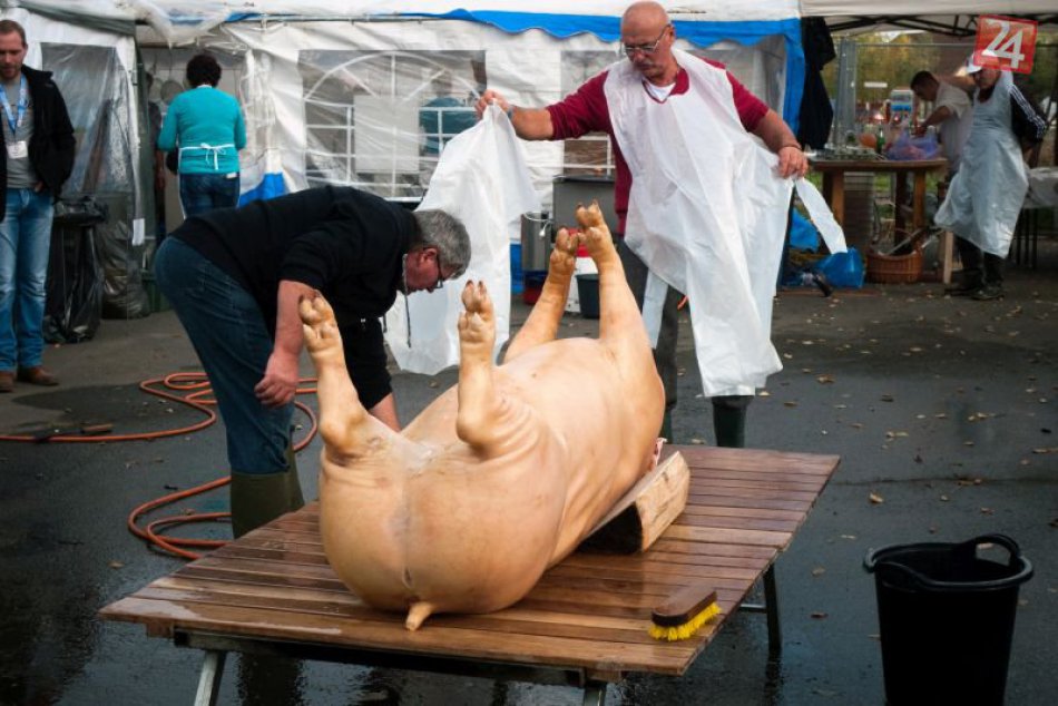 Festival čabianskej klobásy