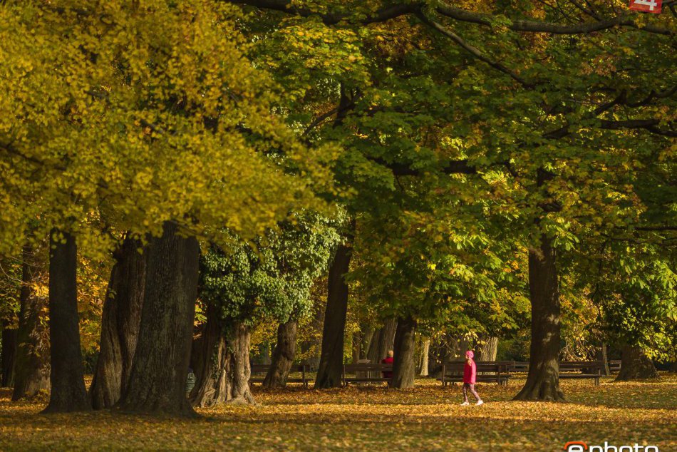 Jesenná Bratislava 2016