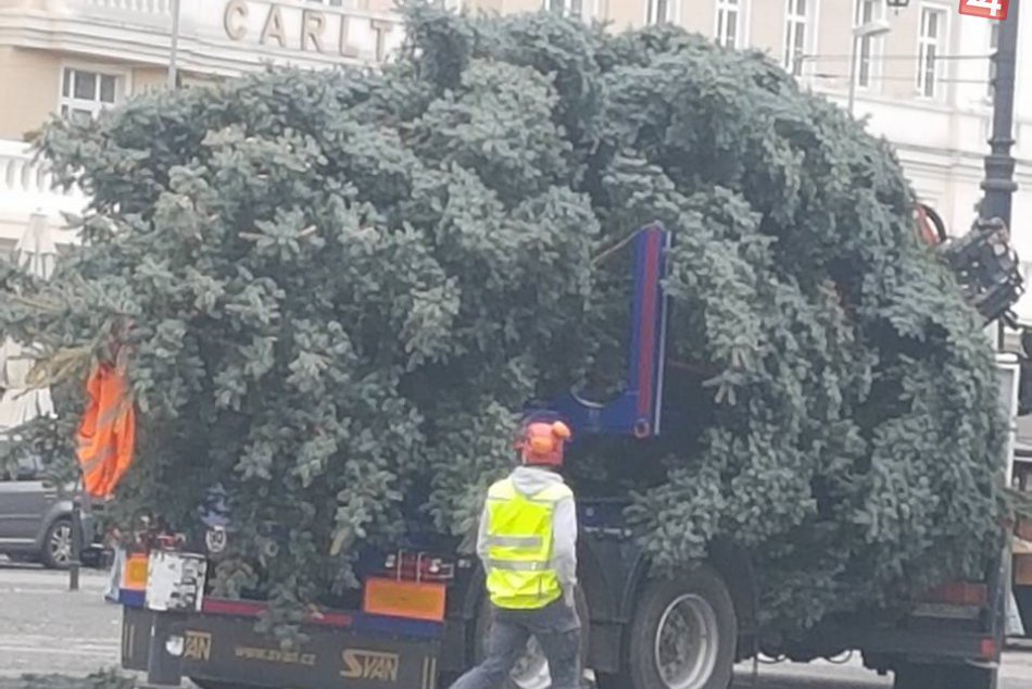 Vianočný stromček na Hviezdoslavovom námestí
