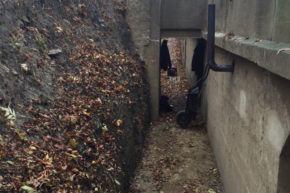 Vojenské bunkre a kaverny nad Bratislavou