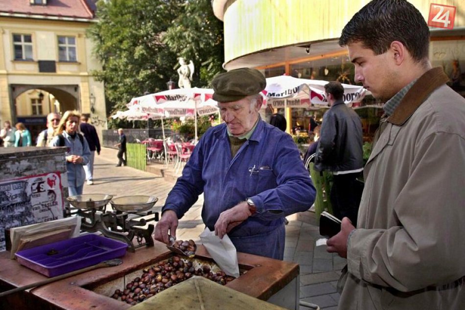 Gaštan je symbolom jesene, pochúťkou i prírodnou lekárňou + RECEPTY