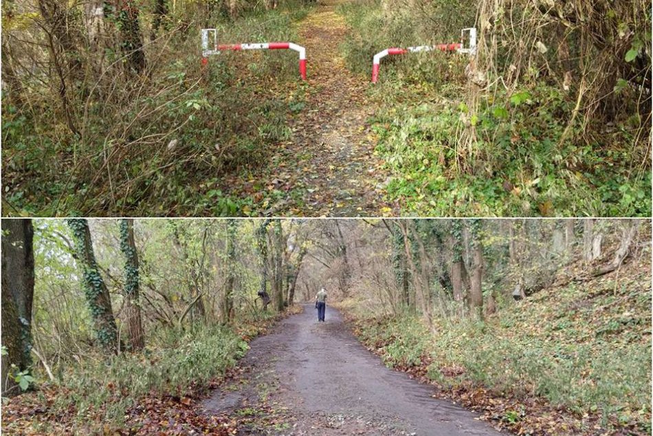 Zelená hliadka obnovila cyklotrasu nad Devínskou cestou