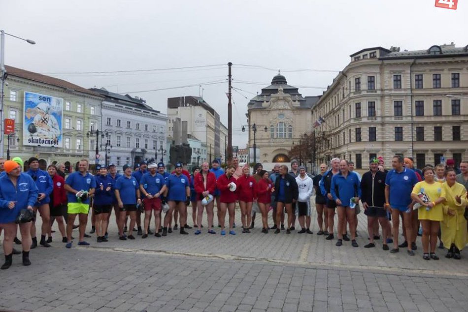 Ľadové medvede v Dunaji