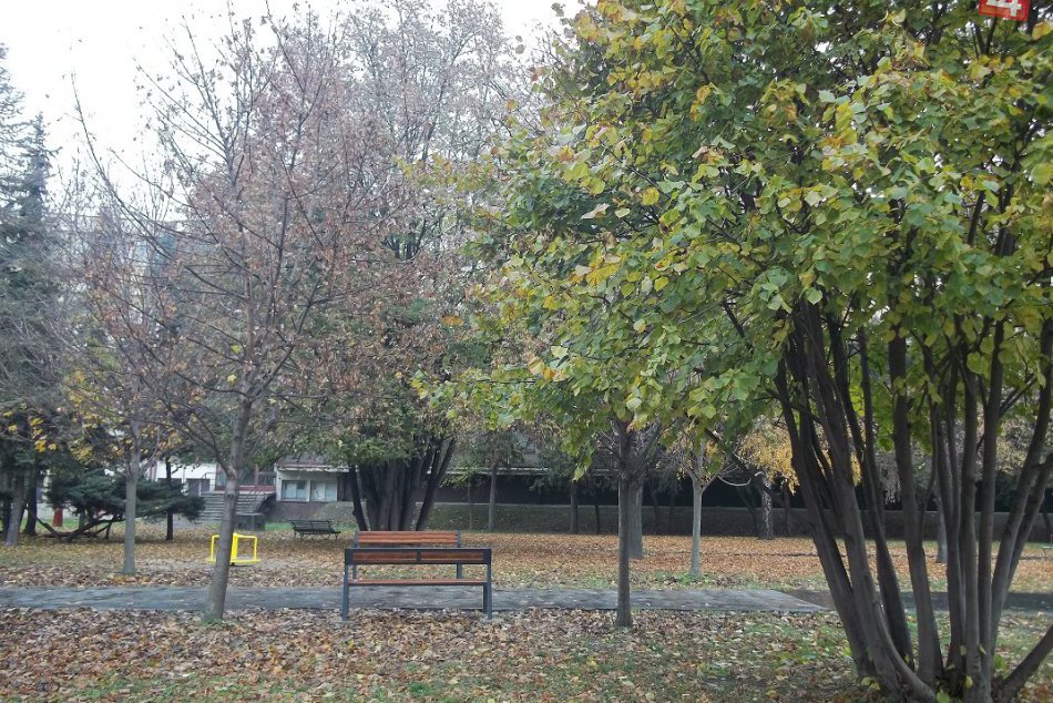 Nemocničný park sa rozrastá: Pribúdajú stále ďalšie prekvapenia