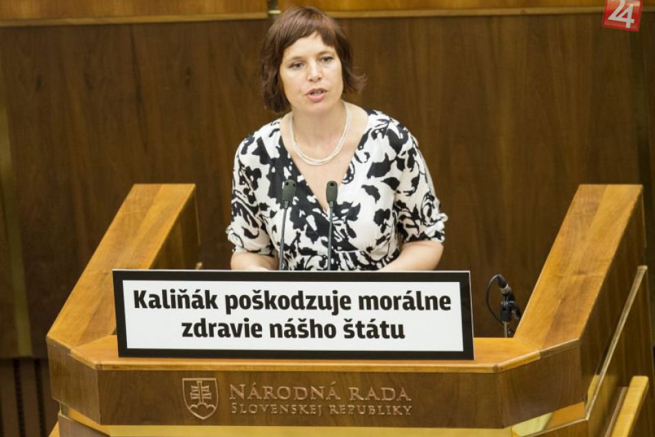 Transparenty v NRSR
