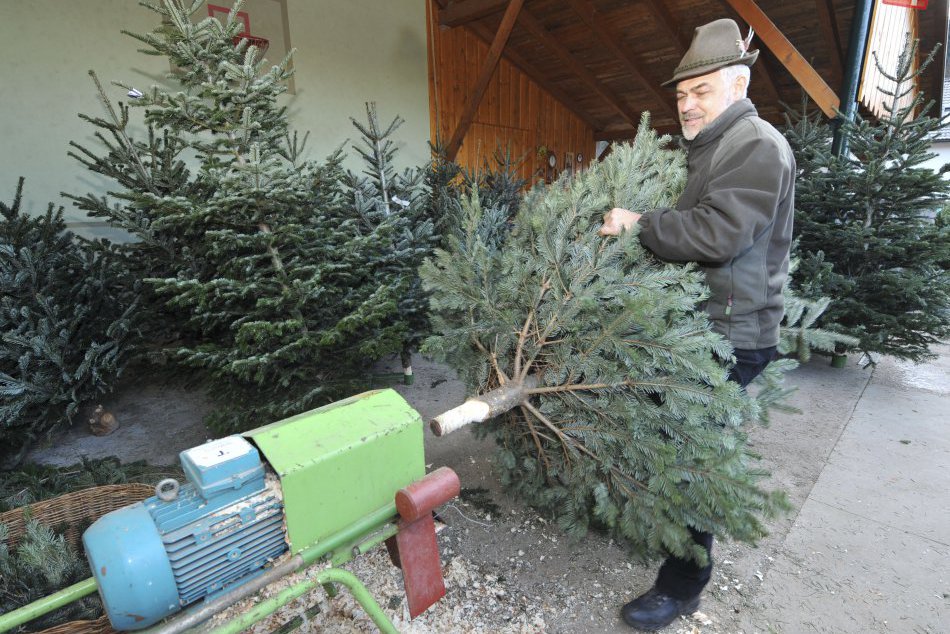 Čo treba stihnúť ešte pred Vianocami