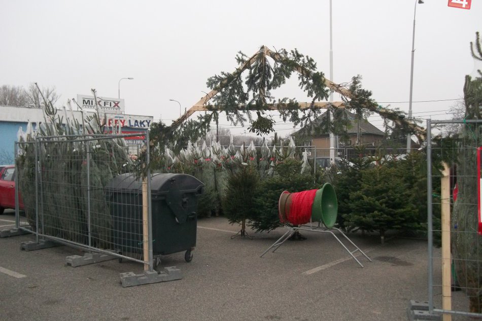 V meste ponúkajú vianočné stromčeky: Aký druh uprednostíte Vy?