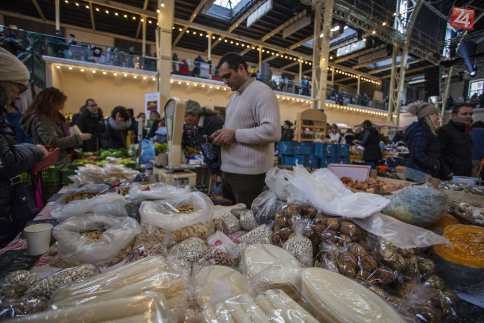 Kam v Bratislave zadarmo