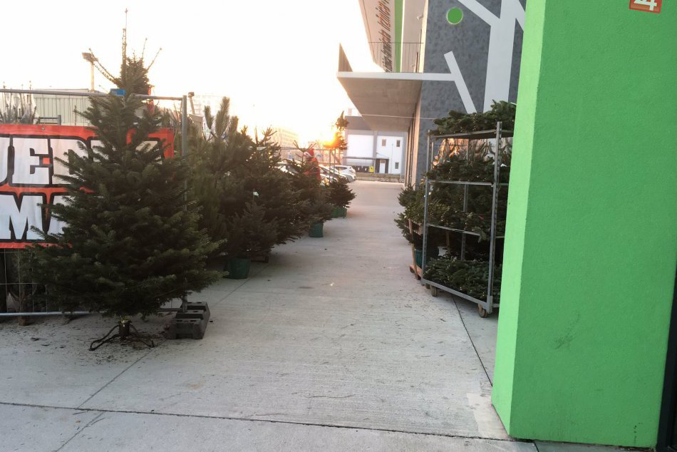 Predaj vianočných stromčekov