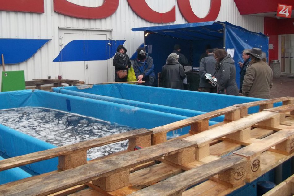 Mestom sa šíri vôňa rýb: Máte už svojho kapra?